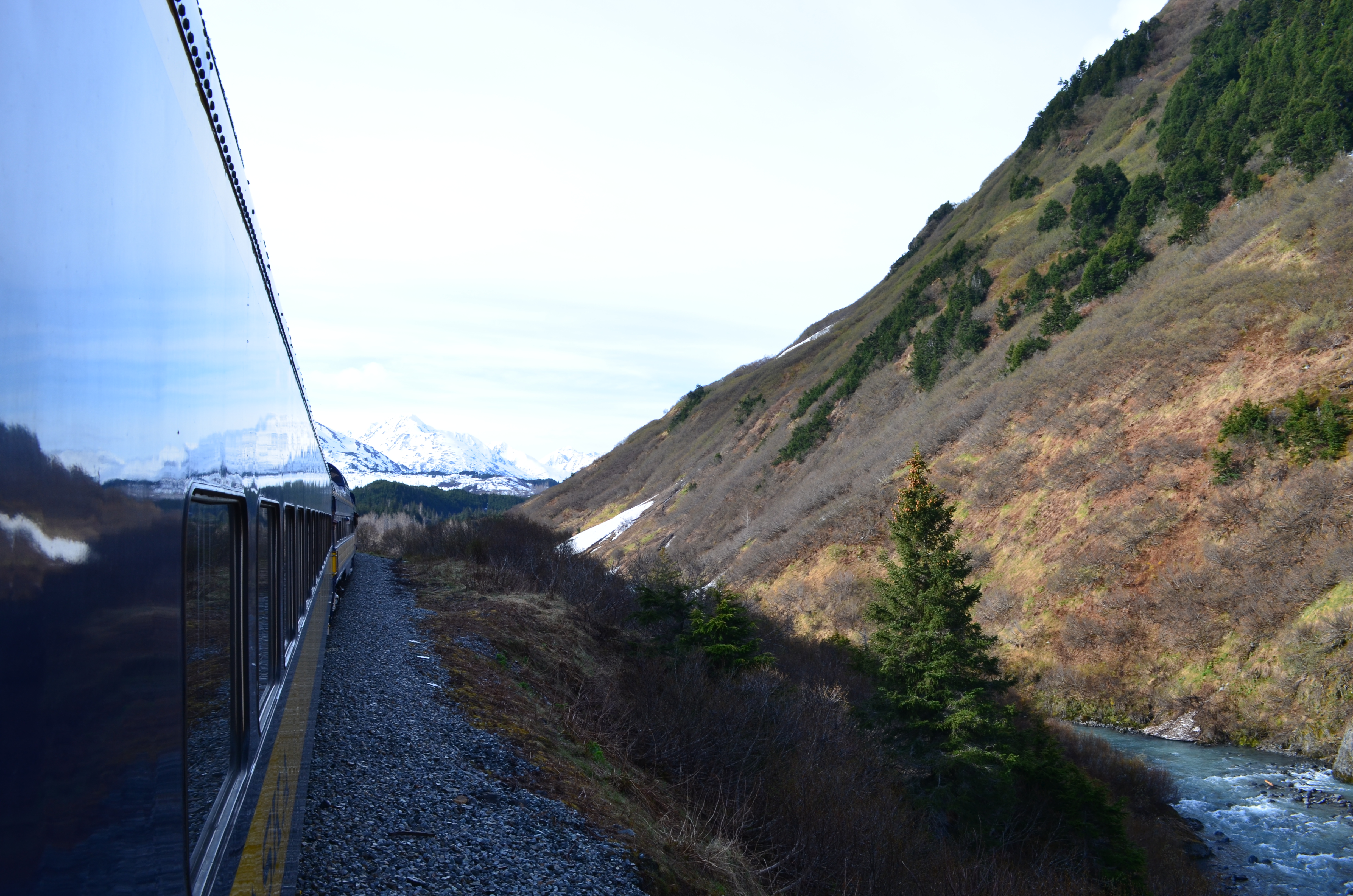 ./2017/08 - Alaska Cruise/05 - Train to Seward/DSC_0538.JPG